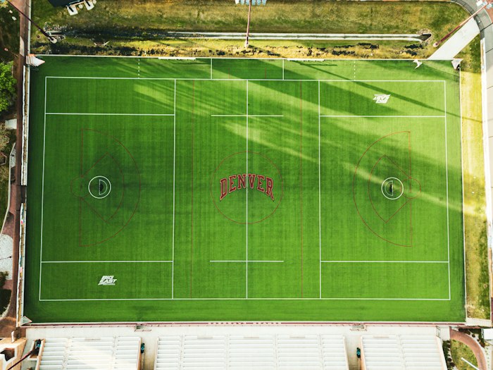 Campo da calcio verde ripreso dall’alto durante il giorno